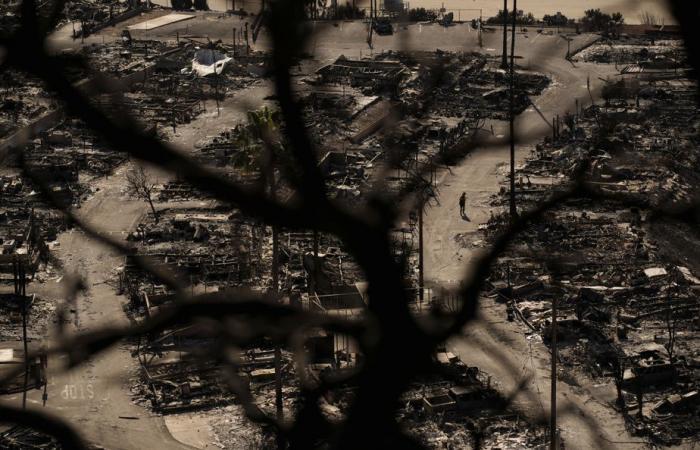 Brände in der Gegend von Los Angeles