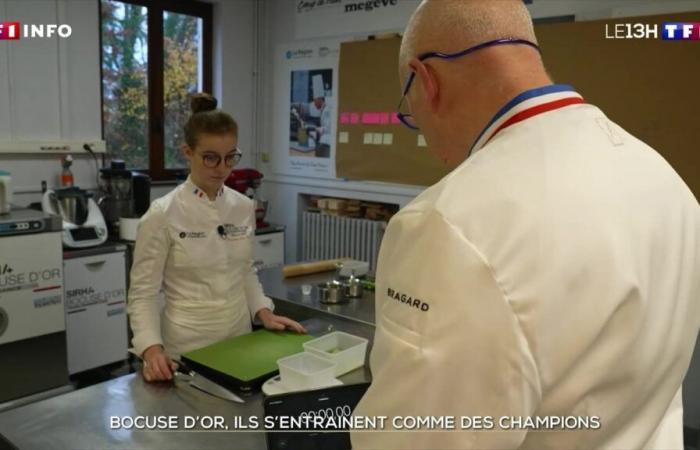 Bocuse d’Or: Sie trainieren wie die Champions