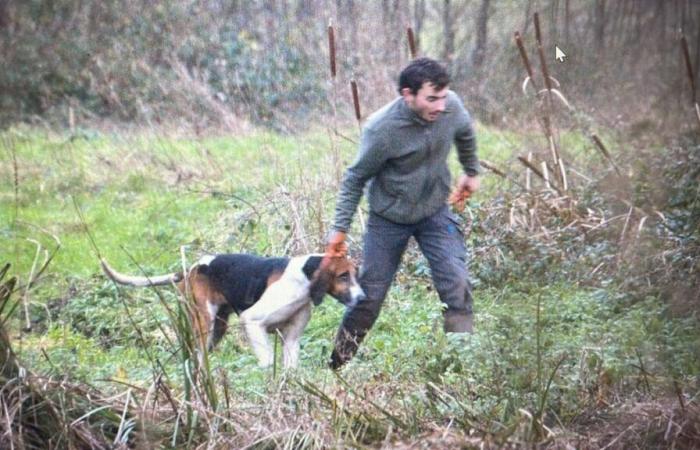 Die Petition von Yann Arthus-Bertrand gegen die Jagd mit Hunden sammelt fast 65.000 Unterschriften