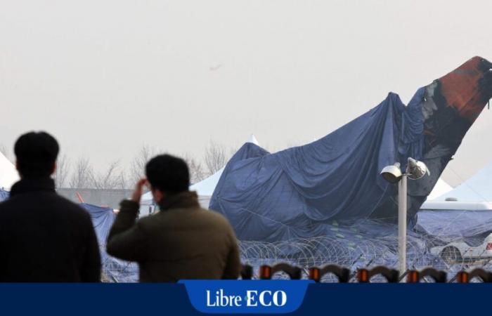 Hatte das Jeju Air-Flugzeug einen totalen Stromausfall? „Die Piloten versuchten ein verzweifeltes Manöver, es muss Panik an Bord gegeben haben“