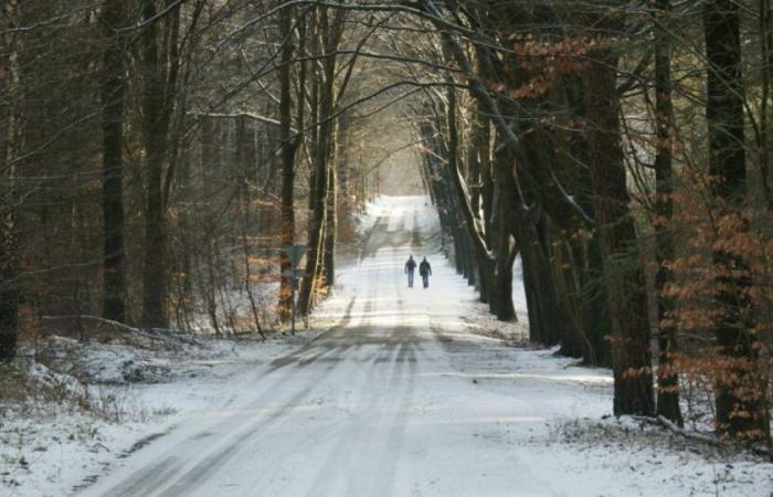 Update zu den eisigen Temperaturen in Frankreich an diesem Dienstag: Nachrichten