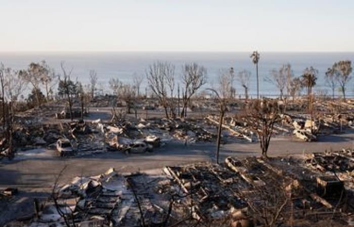 „Santa Ana-Winde wirken wie Flammenwerfer“