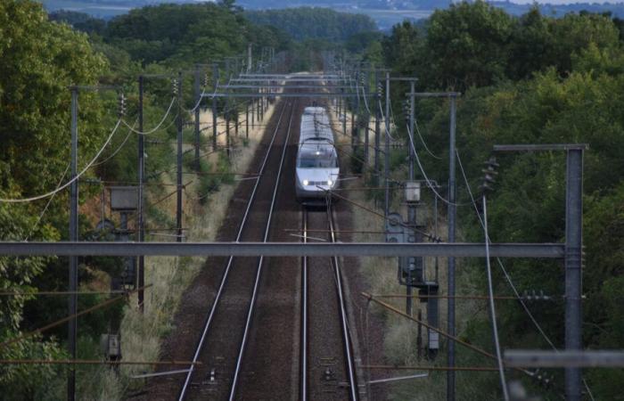 34-jährige Frau stirbt, nachdem sie an einem Bahnübergang von einem Zug erfasst wurde