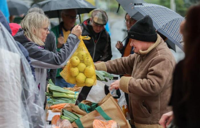 Modef verteidigt ein alternatives System