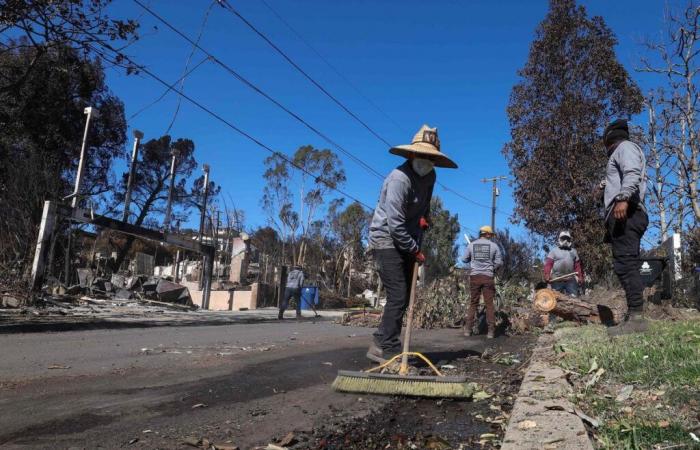 Brände in Los Angeles: Neue starke Windböen erwartet