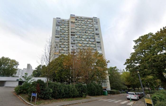 Haut-Rhin. Die von der Zerstörung bedrohten Plein-Ciel-Türme wurden schließlich von den Gerichten in Mulhouse gerettet