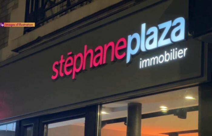 Die Stéphane-Plaza-Affäre belastet die Franchise-Immobilienagenturen