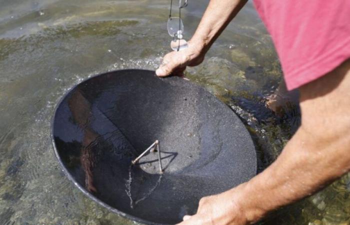 Gold und Spezialwerkzeuge, neun Soldaten wegen „Erpressung“ aus einem geheimen Bergbaustandort in Guyana angeklagt