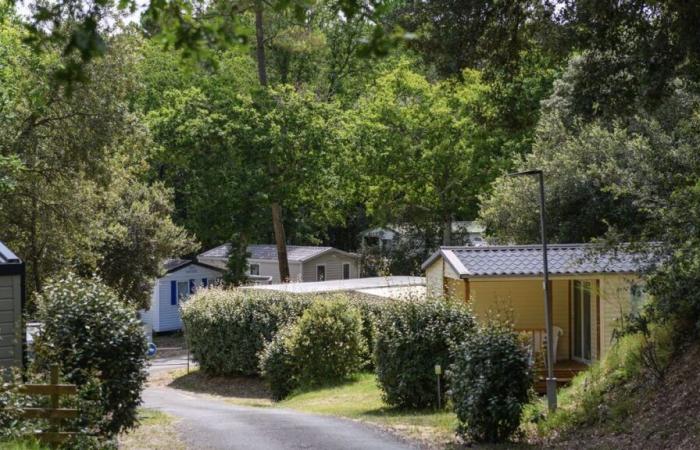 Differenzierte Preise oder Nüchternheit? Charente-Maritime sucht nach Lösungen, um einen Mangel an Trinkwasser zu vermeiden