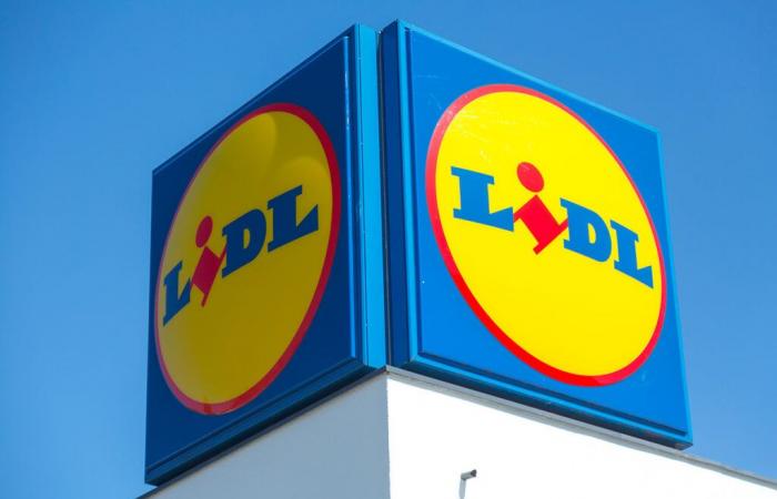 Lidl eröffnet 10 neue Filialen in ganz Frankreich, hier ist die Liste