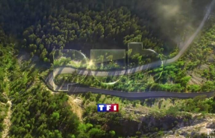 TF1 bildet eine neue Allianz im Bereich Connected TV