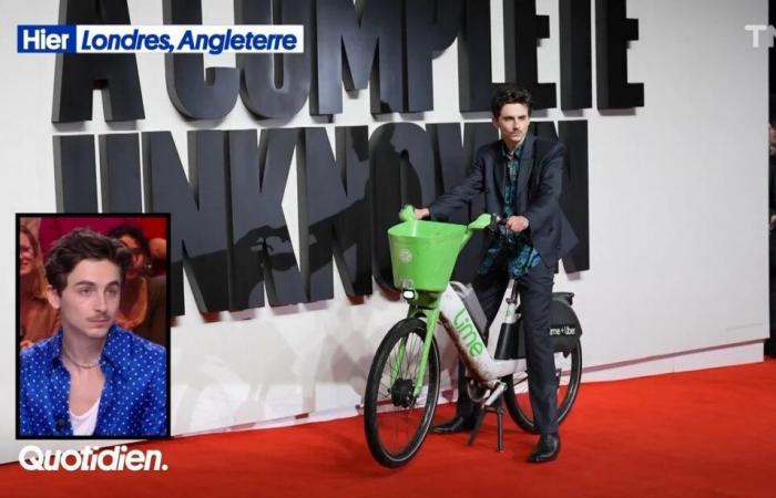 Timothée Chalamet, seine Definition der Promotiontour – Quotidien