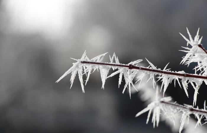 Météo France aktiviert die gelbe Wachsamkeit in der Haute-Loire