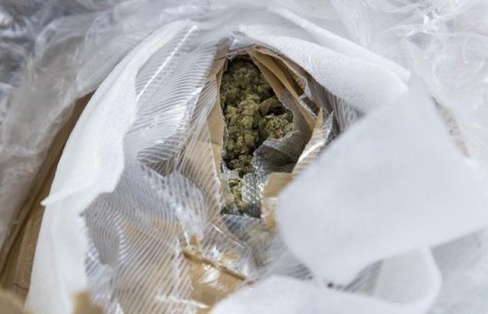 seine Tasche voller Cannabis entgleitet vor den Augen der Polizei – LINFO.re