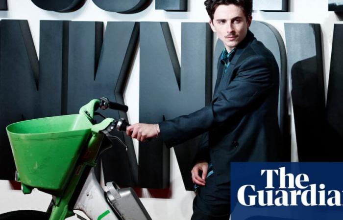 Ein Hauch von Limette: Timothée Chalamet fuhr mit einem Leihfahrrad auf den roten Teppich. Aber wie lange saß er schon im Sattel?