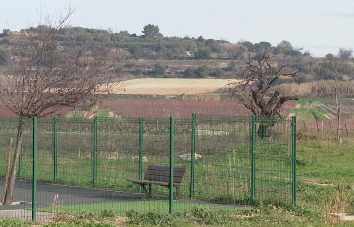 „Wir werden die Menschen nicht gegen ihren Willen glücklich machen!“, begräbt das Département Hérault ein Projekt zur Wasserrückhaltung im Winter für Winzer