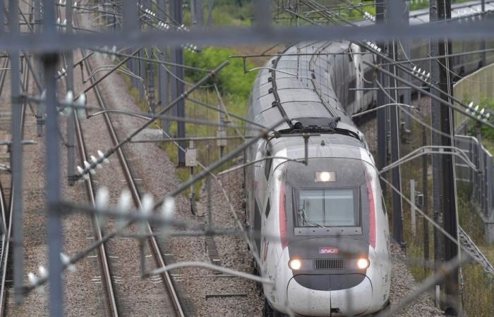 Zugverkehr in Savoyen nach „Vandalismus“ teilweise unterbrochen