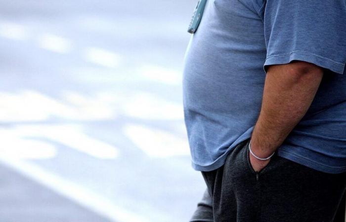 Fettleibigkeit sollte nicht mehr allein durch den Body-Mass-Index definiert werden, heißt es in dem Bericht