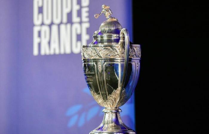 Coupe de France live ab 18 Uhr