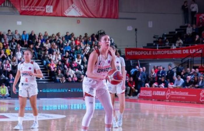 LBWL: Wenige Stunden vor einem entscheidenden Spiel sieht Villeneuve d’Ascq, wie einer seiner Spieler geht! – Postup.fr