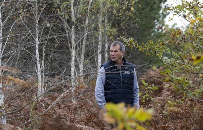 „Für uns war es lebenswichtig“, erklärt der Generaldirektor von Alliance Forêts Bois