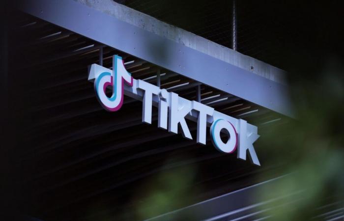 China prüft die Möglichkeit, TikTok an Elon Musk zu verkaufen