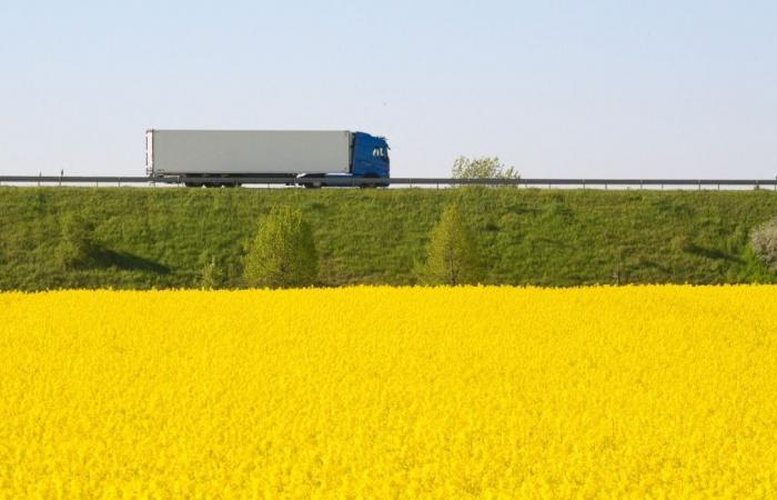 Welcher B100-Kraftstoff ist bekanntermaßen viel weniger umweltschädlich als Diesel?