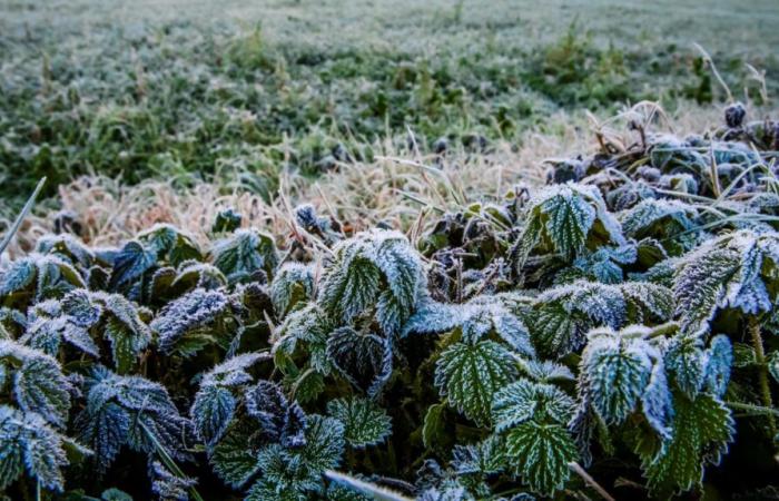 Wann wird die Winterkälte, die Frankreich heimsucht, verschwinden?