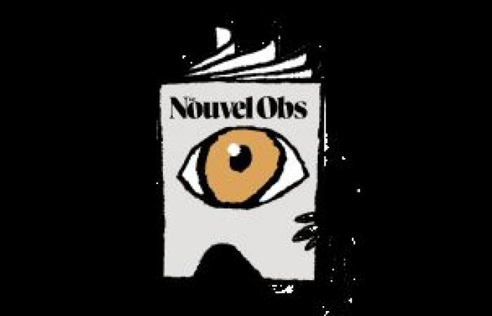 Tondelier weist Bompard zurück, Corbière gibt sich selbst auf, Zemmour und Knafo regieren allein … Entdecken Sie die Indiskretionen der „New Obs“