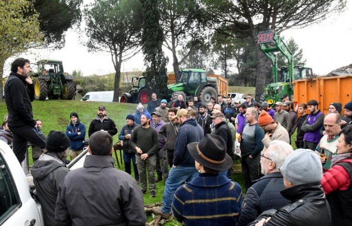 Die Aude Breeders’ Union, Vizepräsidentin der FDSEA und der JA, möchte „die Stimmen der Züchter“ in die Landwirtschaftskammer tragen