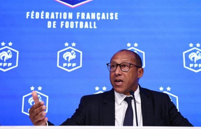 Die FFF möchte 2026-27 eine professionelle Ligue 3 schaffen