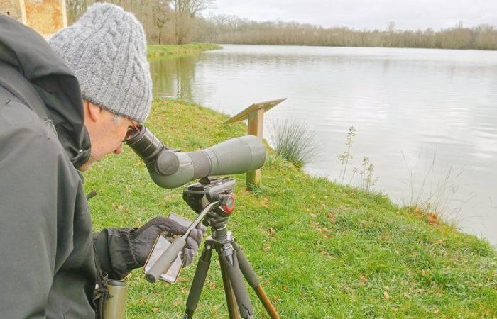 Was ist der Zweck der Wasservogelzählung?