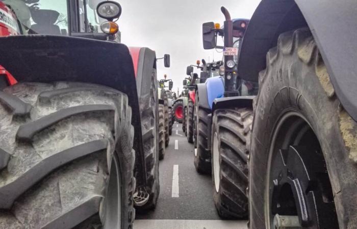 Bauern protestieren nach kontroversen Äußerungen gegen das OFB