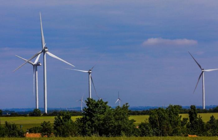 DESINFOX. Kann eine Gemeinde Windkraftanlagen auf ihrem Gebiet „verbieten“?