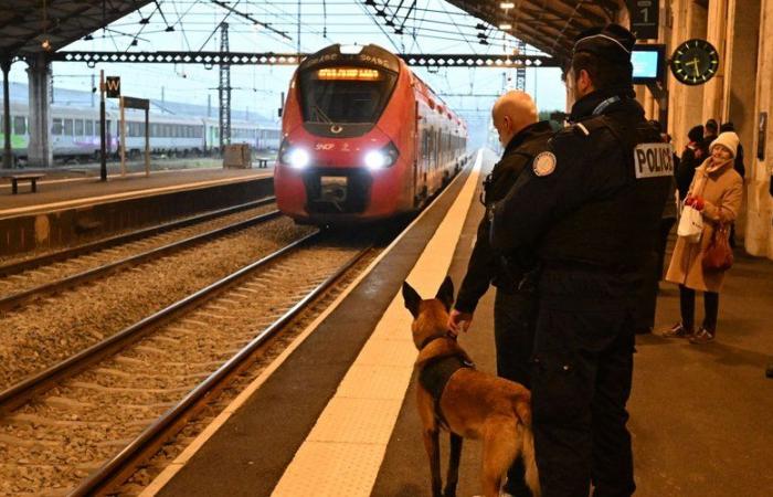 Umfangreiche Anti-Drogen-Operation in Lot-Zügen und am Bahnhof Cahors, 200 Passagiere kontrollierten diesen Donnerstag