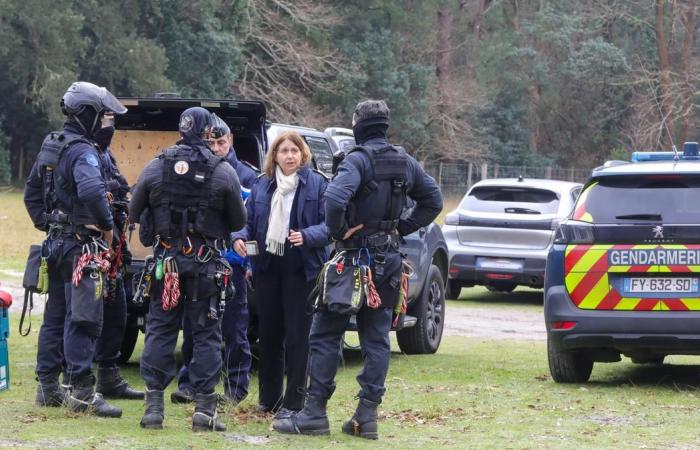 Zwei der drei „Eichhörnchen“, die gegen die THT-Leitung protestierten, wurden unter Hochspannung evakuiert