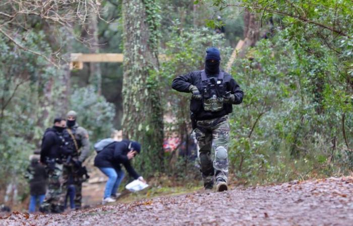 Zwei der drei „Eichhörnchen“, die gegen die THT-Leitung protestierten, wurden unter Hochspannung evakuiert