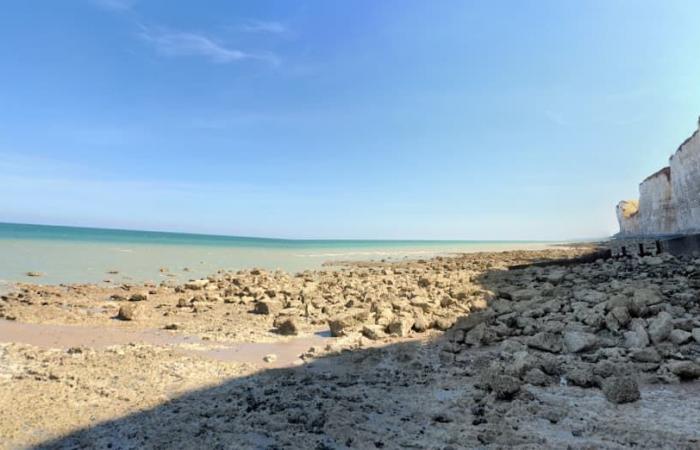 46 Migranten werden am Strand von Dieppe vor einer möglichen Überfahrt „versorgt“.