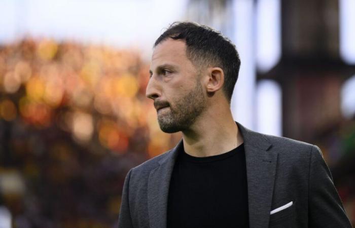 Fußball – Domenico Tedesco ist nicht mehr Belgiens Trainer