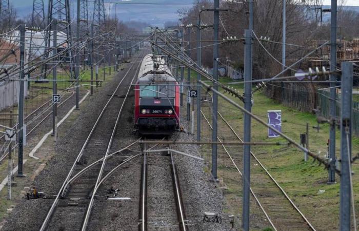 Die USON reist nach Brive, weißer Marsch zum Gedenken an Ulrick Leclercq, 50 Jahre Schleiergesetz … Die unvergesslichen Nachrichten von diesem Freitag