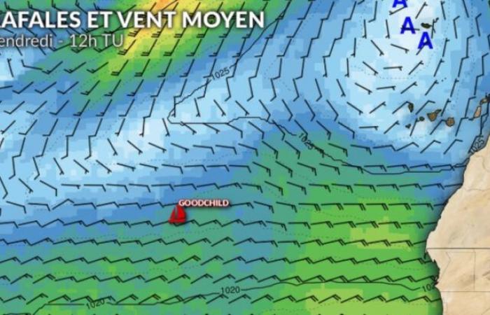 Vendée-Globe-Wetter: Große Unsicherheit für die Verfolger