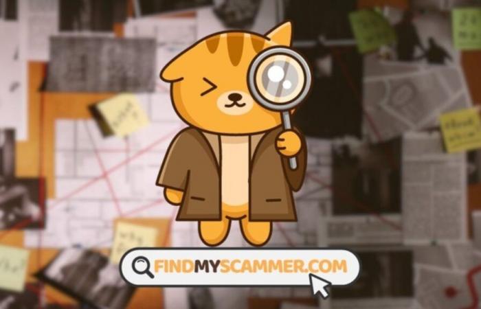 Opfer eines Online-Betrugs? FindMyScammer hilft Ihnen!