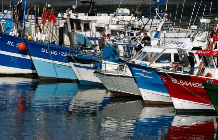 Britischer Trawler greift französisches Fischerboot in der Nordsee an