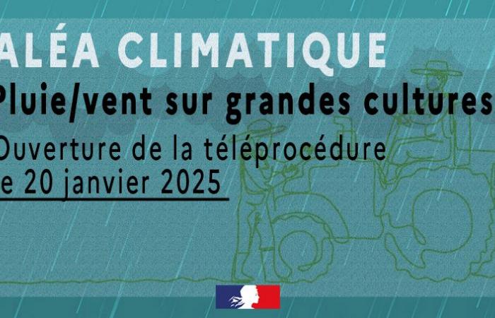 Einreichung eines Antrags auf Klimaschutzentschädigung 2024 – Wirtschaftshilfe und Agrarkatastrophen – Land- und Forstwirtschaft und ländliche Entwicklung – Staatliche Maßnahmen