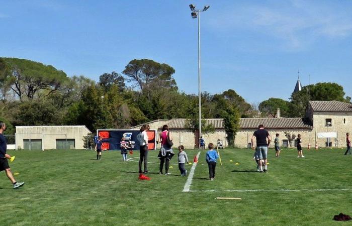 Mehrere Einführungs-Rugby-Zyklen von Hérault Sport