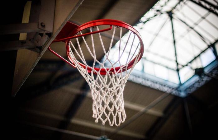 Zwischenfälle auf der Tribüne, Betreten des Spielfelds … Eltern haben dieses Wochenende Hausverbot in den Basketballhallen