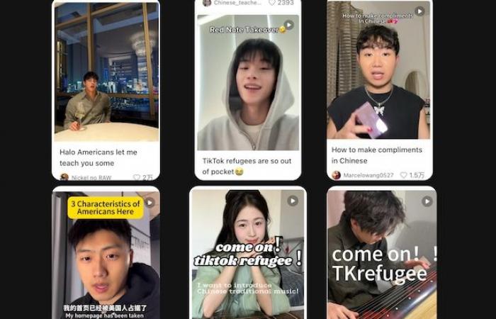 „Refugees from TikTok“ greift auf eine chinesische App zurück