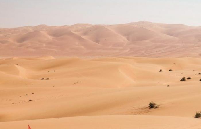 ENDGÜLTIGER SIEG FÜR SAUDI AL RAJHI BEI DER DAKAR 2025 VOR LATEGAN, EKSTRÖM UND AL ATTIYAH