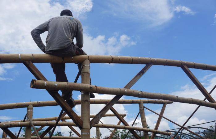 Im vom Zyklon verwüsteten Mayotte „haben die Bauern alles verloren“