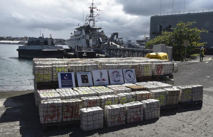 Mehr als 9 Tonnen Kokain vor der Küste von Martinique abgefangen